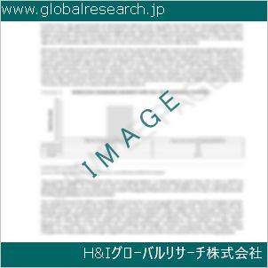 グローバルリサーチ調査資料のイメージ